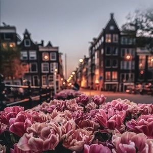 Meet your Posher, Devina